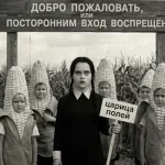 Где-то в Мультивселенной