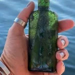 Романтические бутылки из Сассекса обернулись скандалом — необычная история