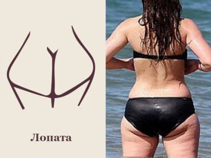 Виды женских ягодиц - 13 форм попы с описанием и фото-гид