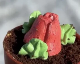 Пирожное цветок в горшке из Санты - необычный десерт за 9,99 руб