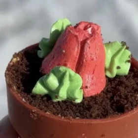 Пирожное цветок в горшке из Санты - необычный десерт за 9,99 руб