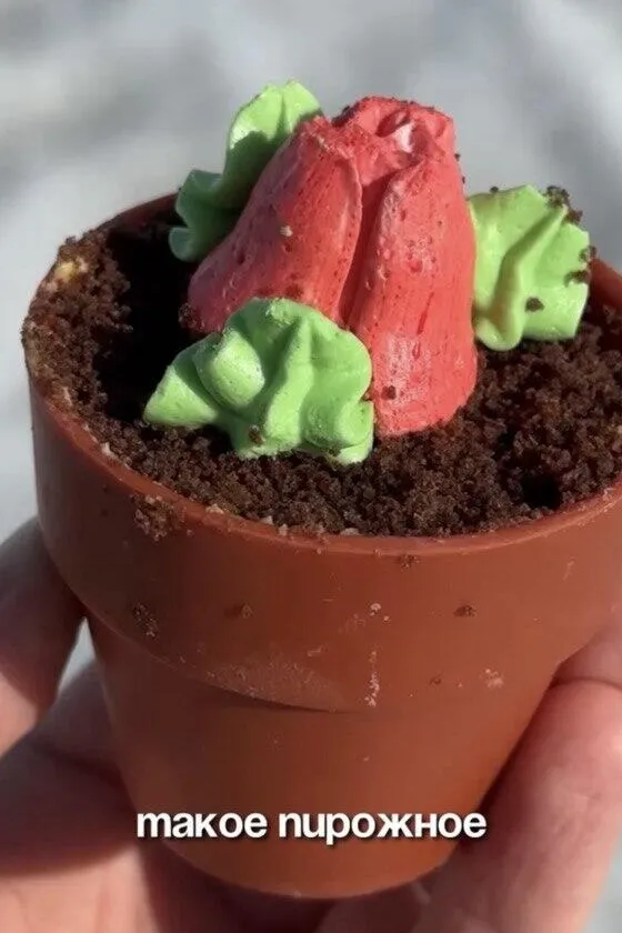 Пирожное цветок в горшке из Санты - необычный десерт за 9,99 руб