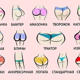виды женских ягодиц - 13 форм попы с описанием и фото-гид