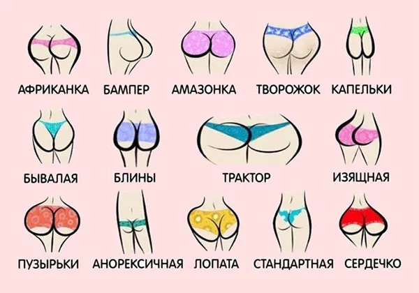 виды женских ягодиц - 13 форм попы с описанием и фото-гид