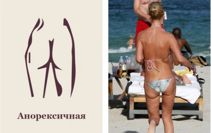 Виды женских ягодиц - 13 форм попы с описанием и фото-гид