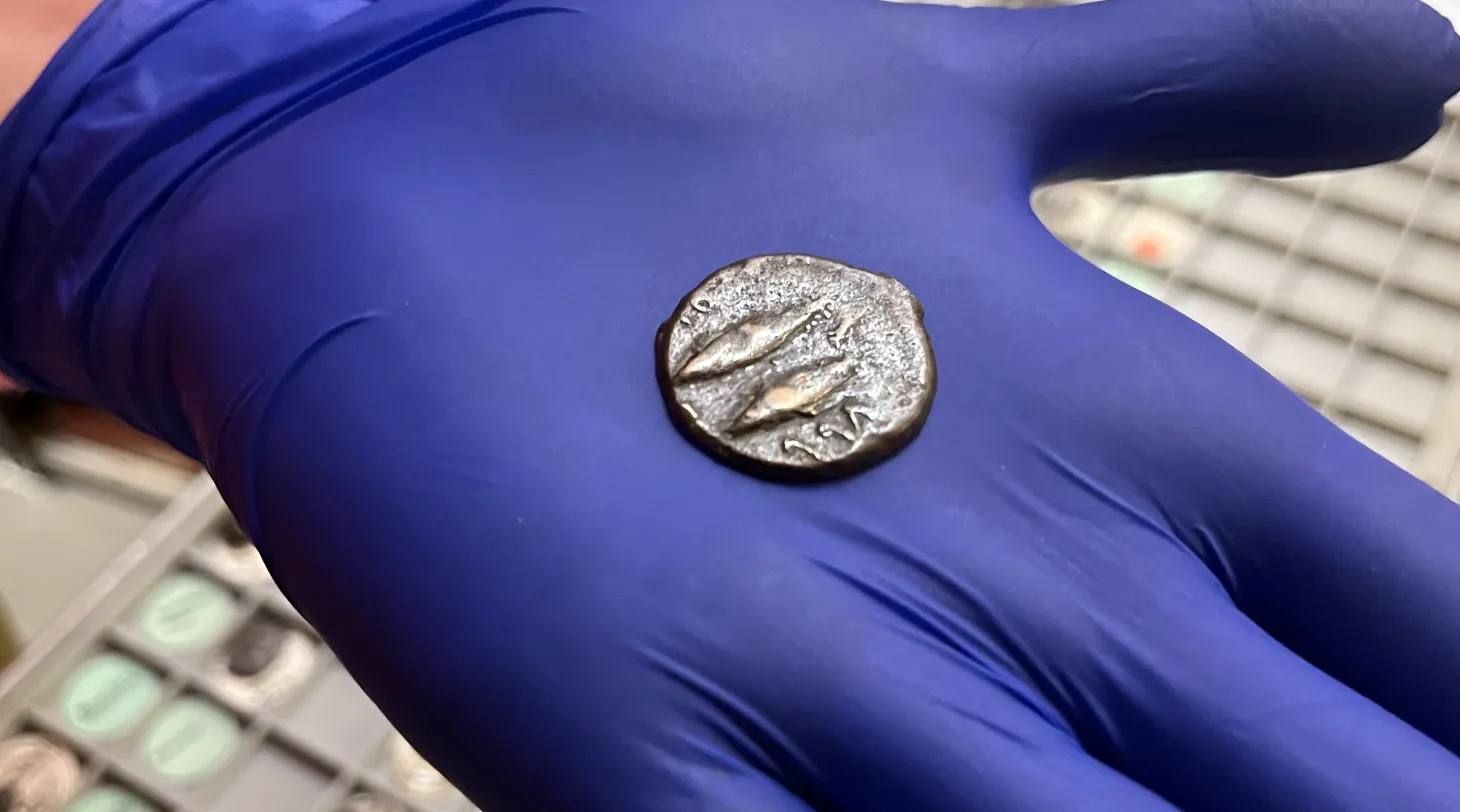 Древняя монета Карфагена 2000 лет находка