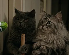 Котиное Сияние AI коты и ящерица