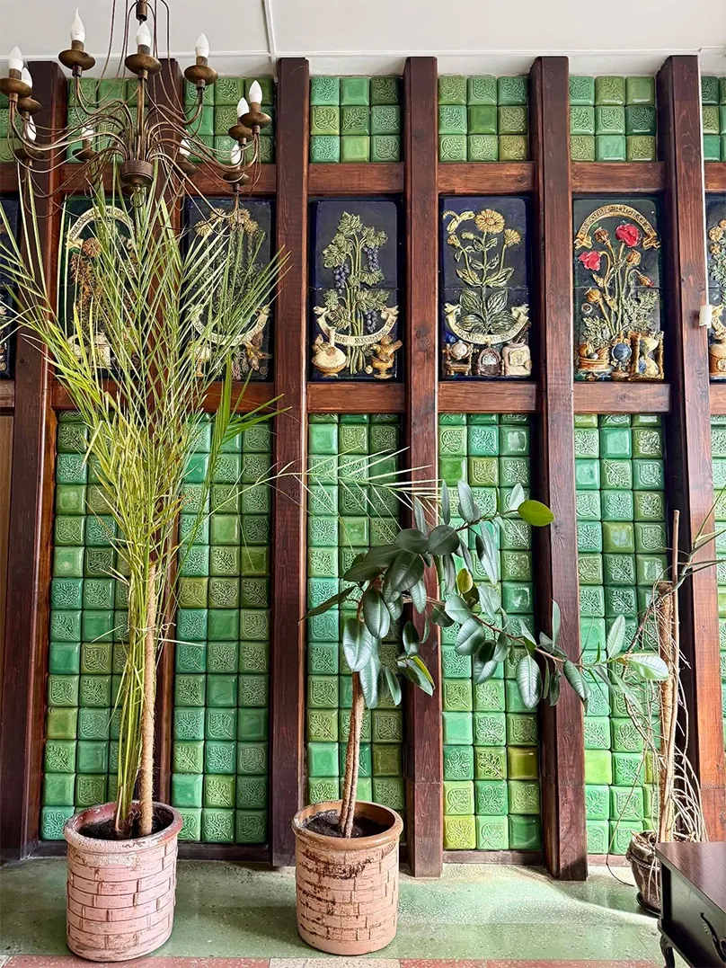 Зеленая аптека в Борисове интерьер