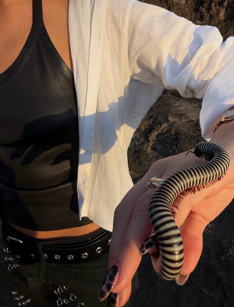 Дуа Липа Каллум Тернер Африка фото