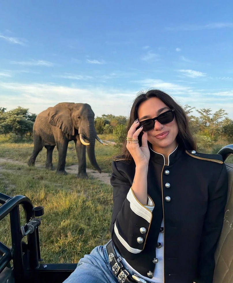 Дуа Липа Каллум Тернер Африка фото