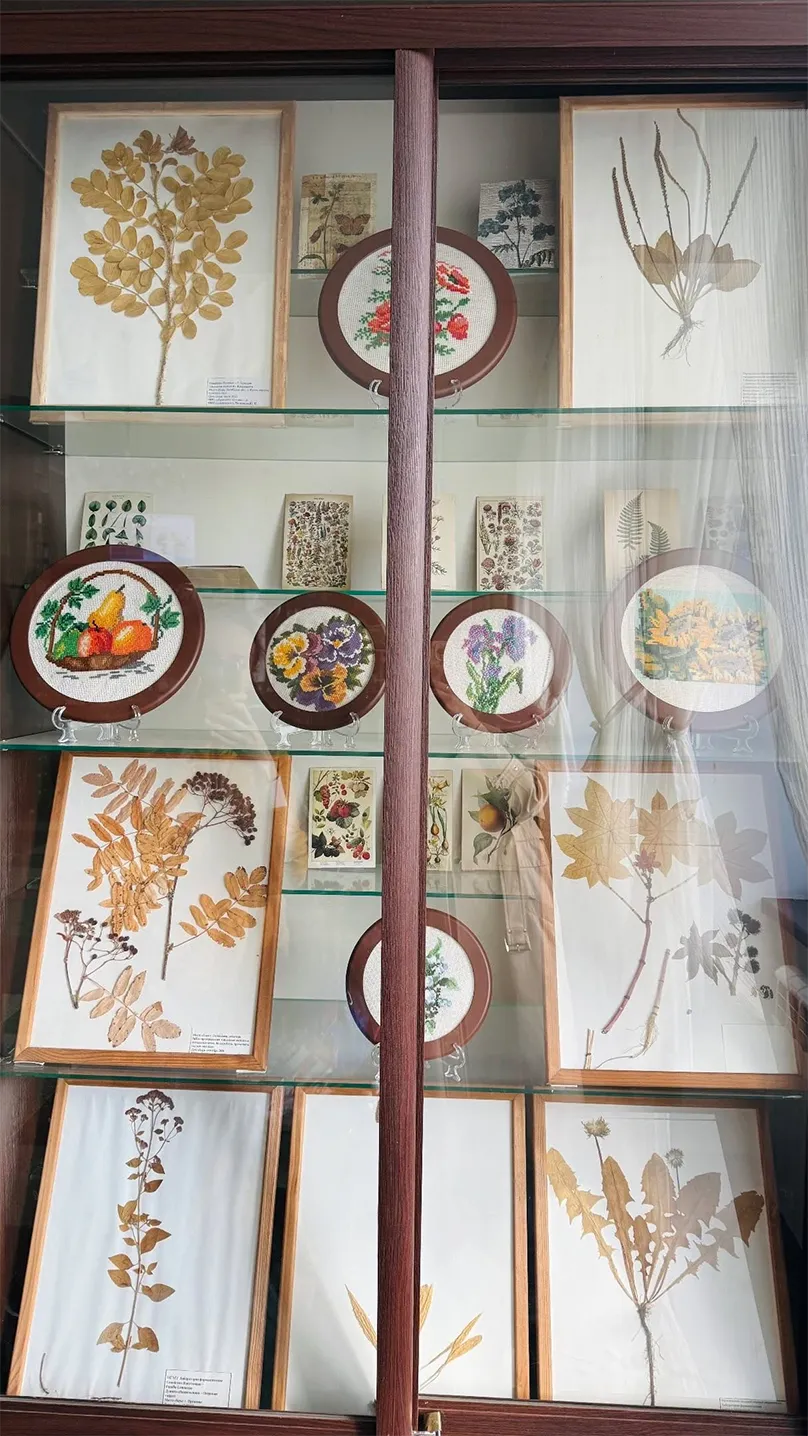 Зеленая аптека в Борисове интерьер