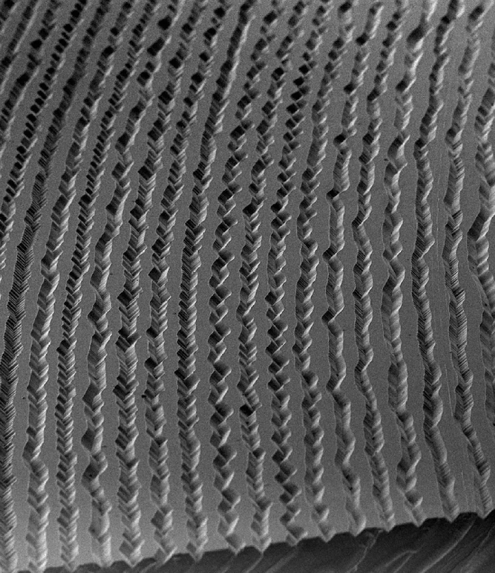 Виниловая пластинка и игла под микроскопом крупным планом