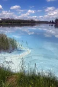 Цнянское водохранилище: скопление метафитона у берега придало воде необычный перламутровый оттенок