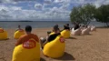 Арт-парк «ПОРТ»: на берегу Минского моря откроется площадка для бесплатного просмотра фильмов