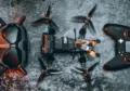 Испытания дронов: Пентагон отбирает лучшие модели FPV-дронов для массового производства в условиях радиоэлектронной борьбы