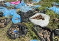 Малое Городище: уникальные находки этого сезона подтвердили активность поселения в XII–XIV веках