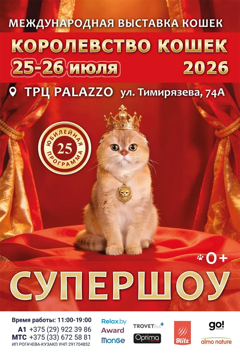 Кошки редких пород на юбилейной выставке Королевство Кошек в ТРЦ Palazzo