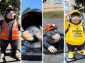Подземные дизайнеры: кроты вышли на поверхность ради красивых фото