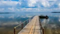 Naroch Balance Resort: новый курорт для удаленщиков на берегу Нарочи с коворкингом и условиями для работы на природе