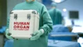 В Беларуси расширили список органов для пересадки до 36 позиций