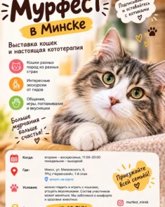 Мурфест в Минске, выставка кошек разных пород