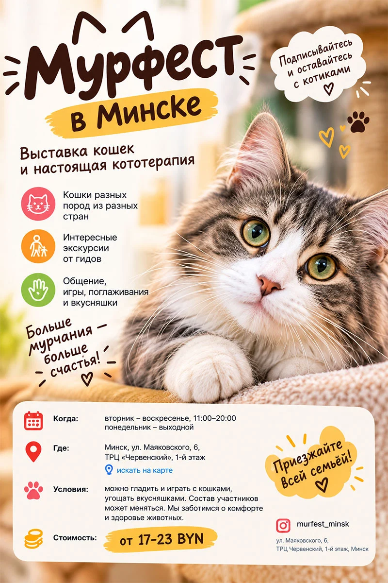 Мурфест в Минске, выставка кошек разных пород