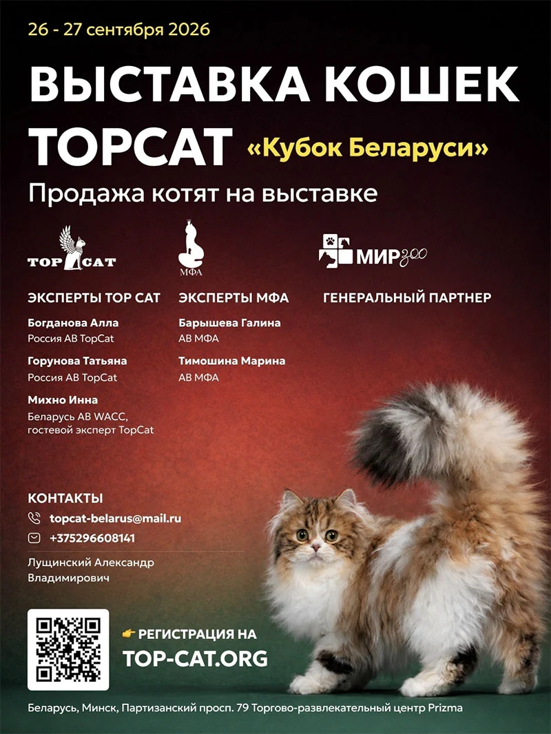 Выставка кошек TOPCAT «Кубок Беларуси» в Минске